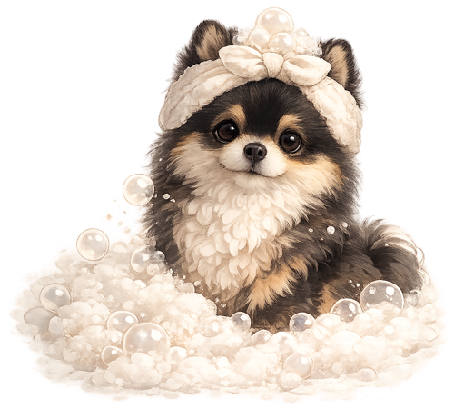 Puur-Coature-Pomeranian-Spa